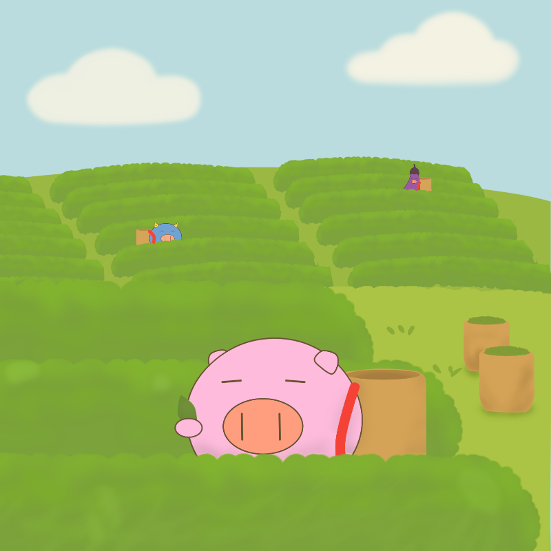茶畑にいるとぅむぶた